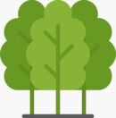 arbres