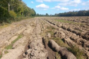 20250930_134350-large