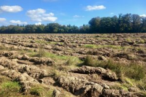 20250930_134728-large