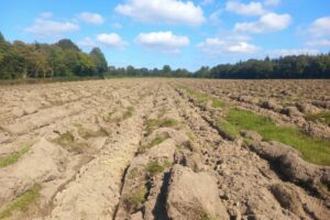 20250930_134932-large