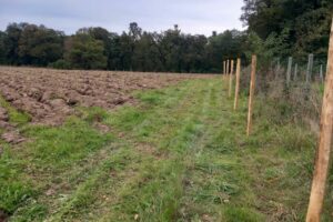 20251002_183656-large