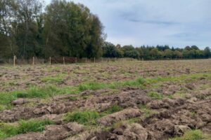 20251002_183702-large