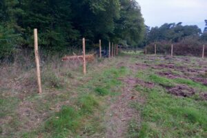 20251002_183710-large