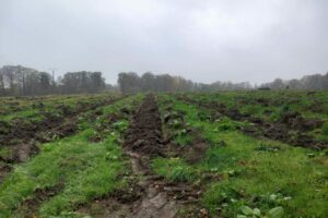 20251104_152101-large