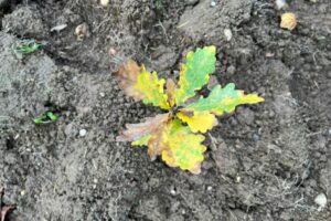 IMG-20251103-WA0011 (1) IMG-20251103-WA0011 (1)