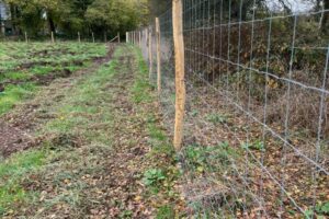 IMG-20251103-WA0012 IMG-20251103-WA0012