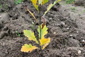 IMG-20251103-WA0013 (2) IMG-20251103-WA0013 (2)