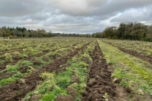 IMG-20251103-WA0014 IMG-20251103-WA0014