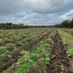 IMG-20251103-WA0019 (1)