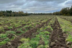 IMG-20251103-WA0019 (1) IMG-20251103-WA0019 (1)