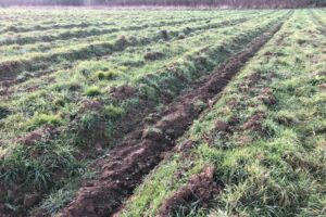 Nouic_06_2024_3-large