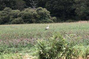 Nouic_06_2024_4-large