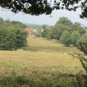 Nouic_06_2024_5-large