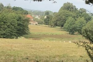 Nouic_06_2024_5-large