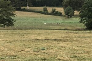 Nouic_06_2024_6-large