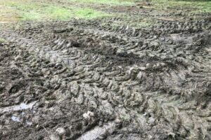 Nouic_06_2024_7-large