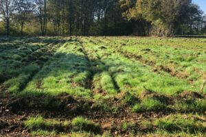 Nouic_11_2024_3 Nouic_11_2024_3