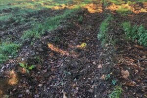 Nouic_11_2024_4 Nouic_11_2024_4