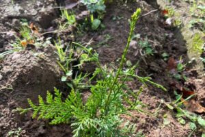 WhatsApp Image 2025-11-07 à 16.10.53_73f87b6f (1) WhatsApp Image 2025-11-07 à 16.10.53_73f87b6f (1)