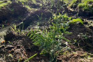 WhatsApp Image 2025-11-07 à 16.11.36_44365015 WhatsApp Image 2025-11-07 à 16.11.36_44365015