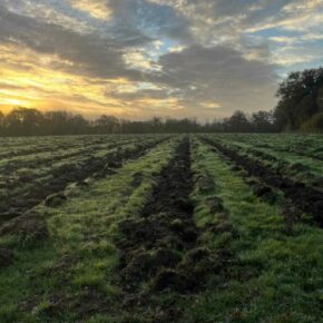 WhatsApp Image 2025-11-07 à 16.11.37_9e000ffa (2)