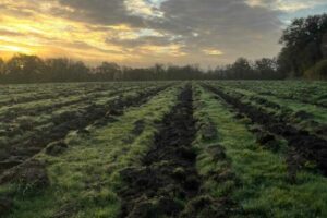 WhatsApp Image 2025-11-07 à 16.11.37_9e000ffa (2) WhatsApp Image 2025-11-07 à 16.11.37_9e000ffa (2)