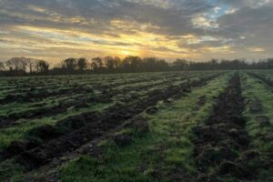 WhatsApp Image 2025-11-07 à 16.11.37_d9c40d22 WhatsApp Image 2025-11-07 à 16.11.37_d9c40d22